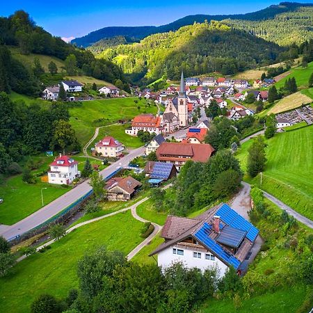 Steepleview House, Schwarzwaldblick Apartment - Spacious & Peaceful Bad Peterstal-Griesbach Exterior foto